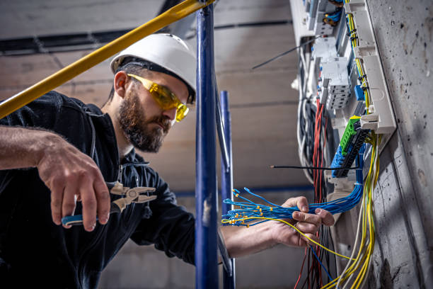 Best Residential Electrician Services  in Lake Panasoffkee, FL