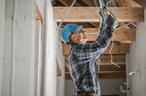 Best Affordable Electrical Installation  in Lake Panasoffkee, FL