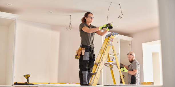 Best Commercial Electrician Services  in Lake Panasoffkee, FL