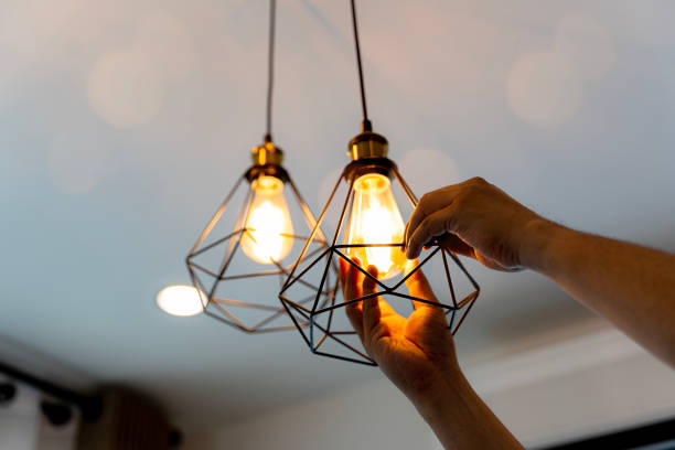 Best Emergency Electrician Near Me  in Lake Panasoffkee, FL