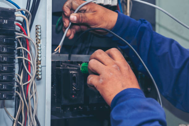 Best Electrical Installation Contractor  in Lake Panasoffkee, FL