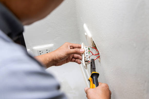 Best Electric Panel Repair  in Lake Panasoffkee, FL